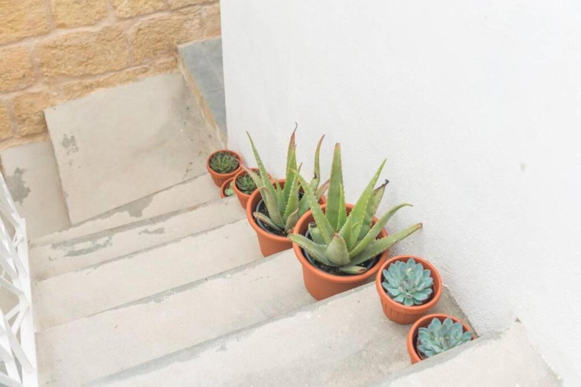 Authentic 1St Fl Apartment At The 3 Cities Marina Cospicua Buitenkant foto